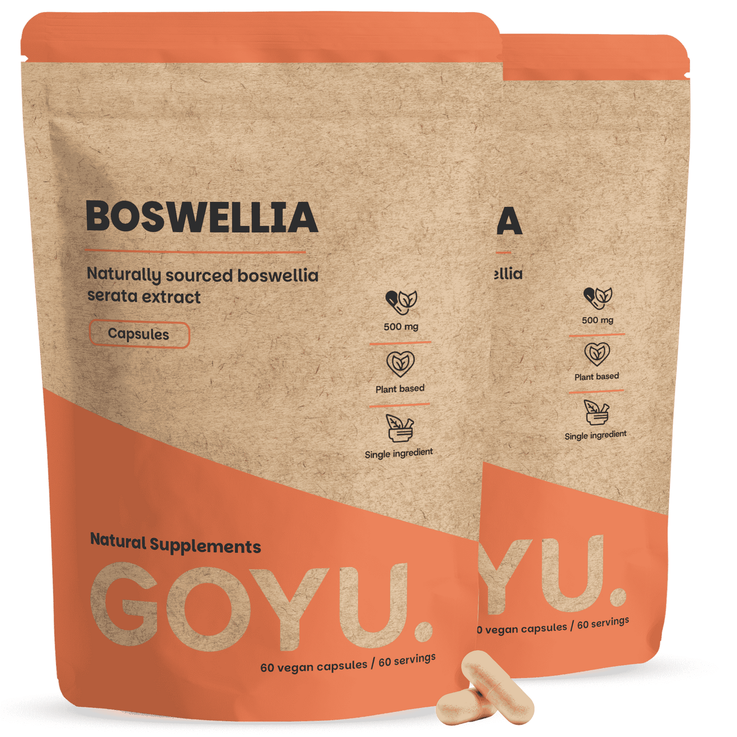 Boswellia Extract capsules 500 mg