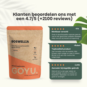 Boswellia extract capsules goyu supplement superfood
