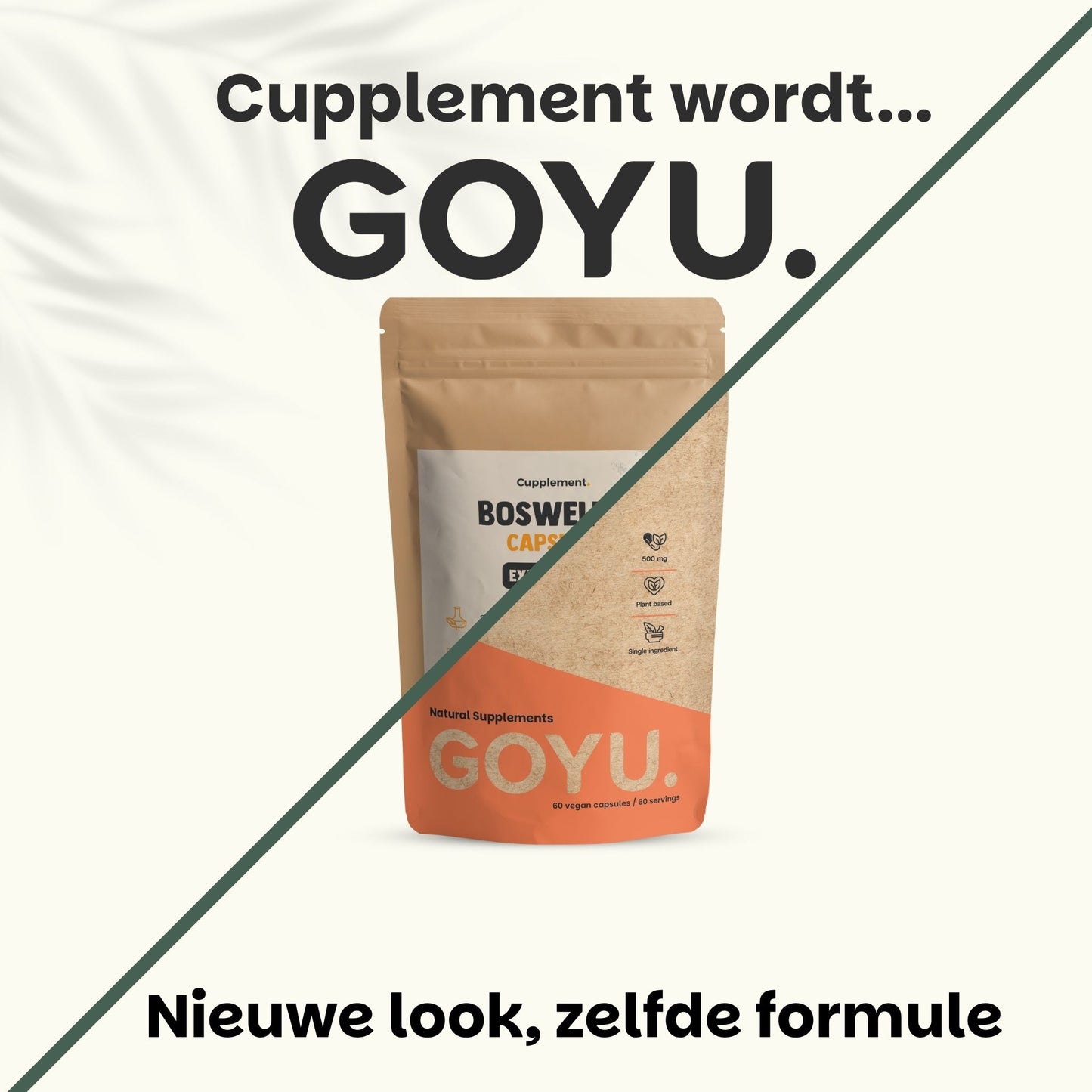 Boswellia extract capsules goyu supplement superfood