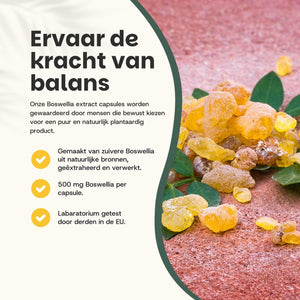 Boswellia extract capsules goyu supplement superfood