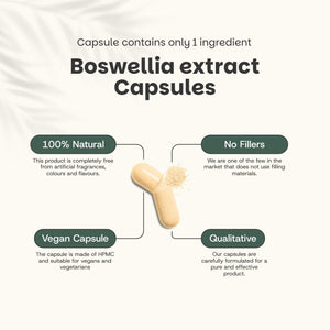 Boswellia extract capsules goyu supplement superfood