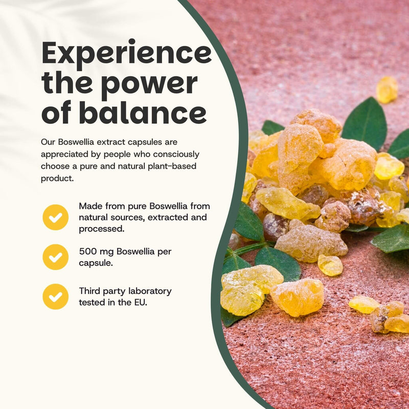 Boswellia extract capsules goyu supplement superfood