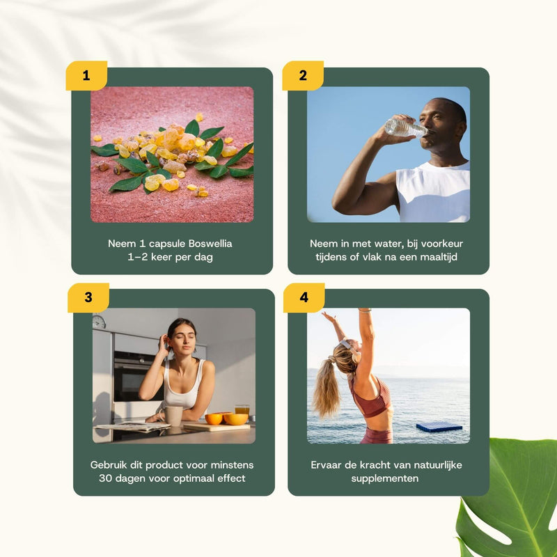 Boswellia extract capsules goyu supplement superfood