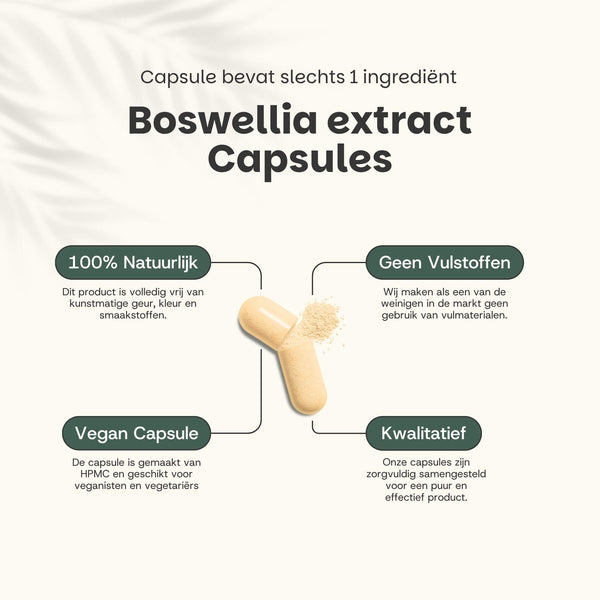 Boswellia extract capsules goyu supplement superfood