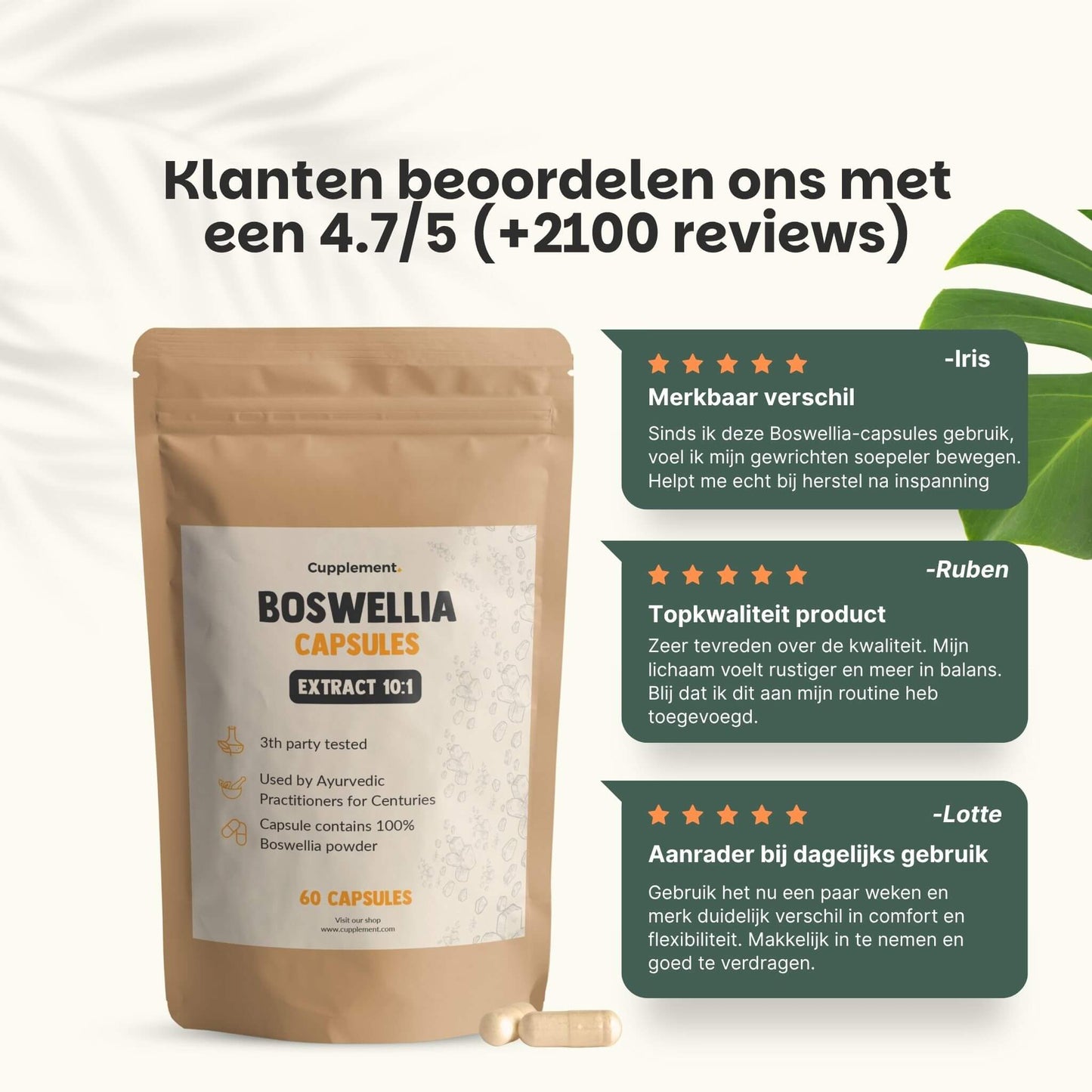 Boswellia extract capsules goyu supplement superfood