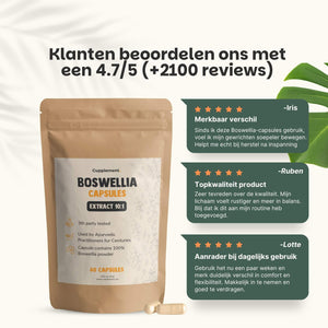 Boswellia extract capsules goyu supplement superfood