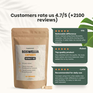 Boswellia extract capsules goyu supplement superfood