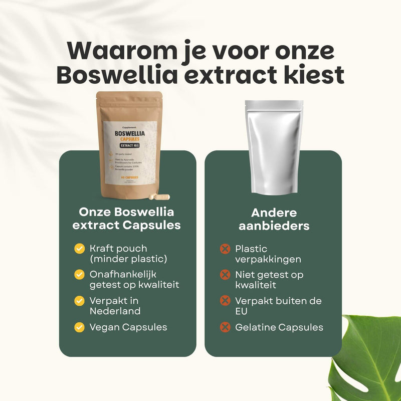 Boswellia extract capsules goyu supplement superfood