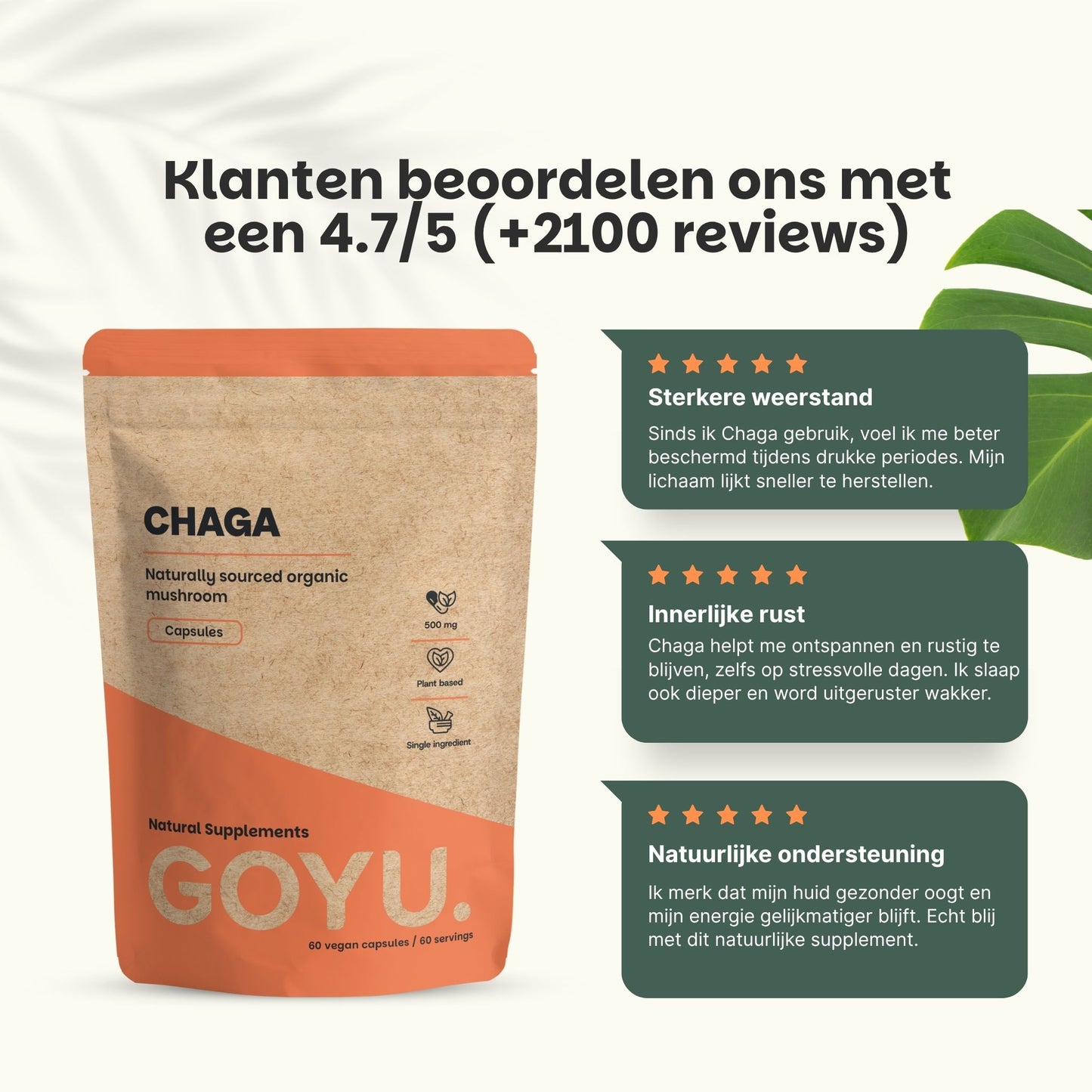 Biologische Chaga capsules goyu supplement superfood