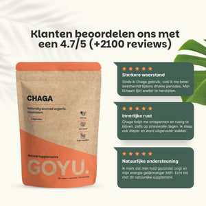 Biologische Chaga capsules goyu supplement superfood
