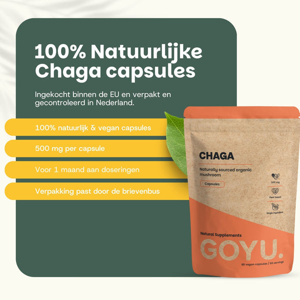 Biologische Chaga capsules goyu supplement superfood