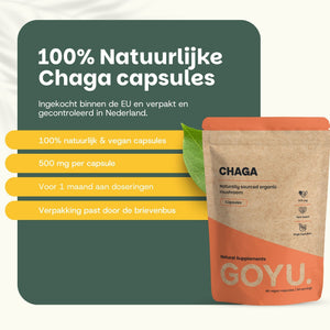 Biologische Chaga capsules goyu supplement superfood