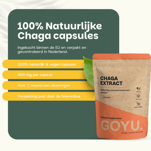 Chaga extract capsules goyu supplement superfood