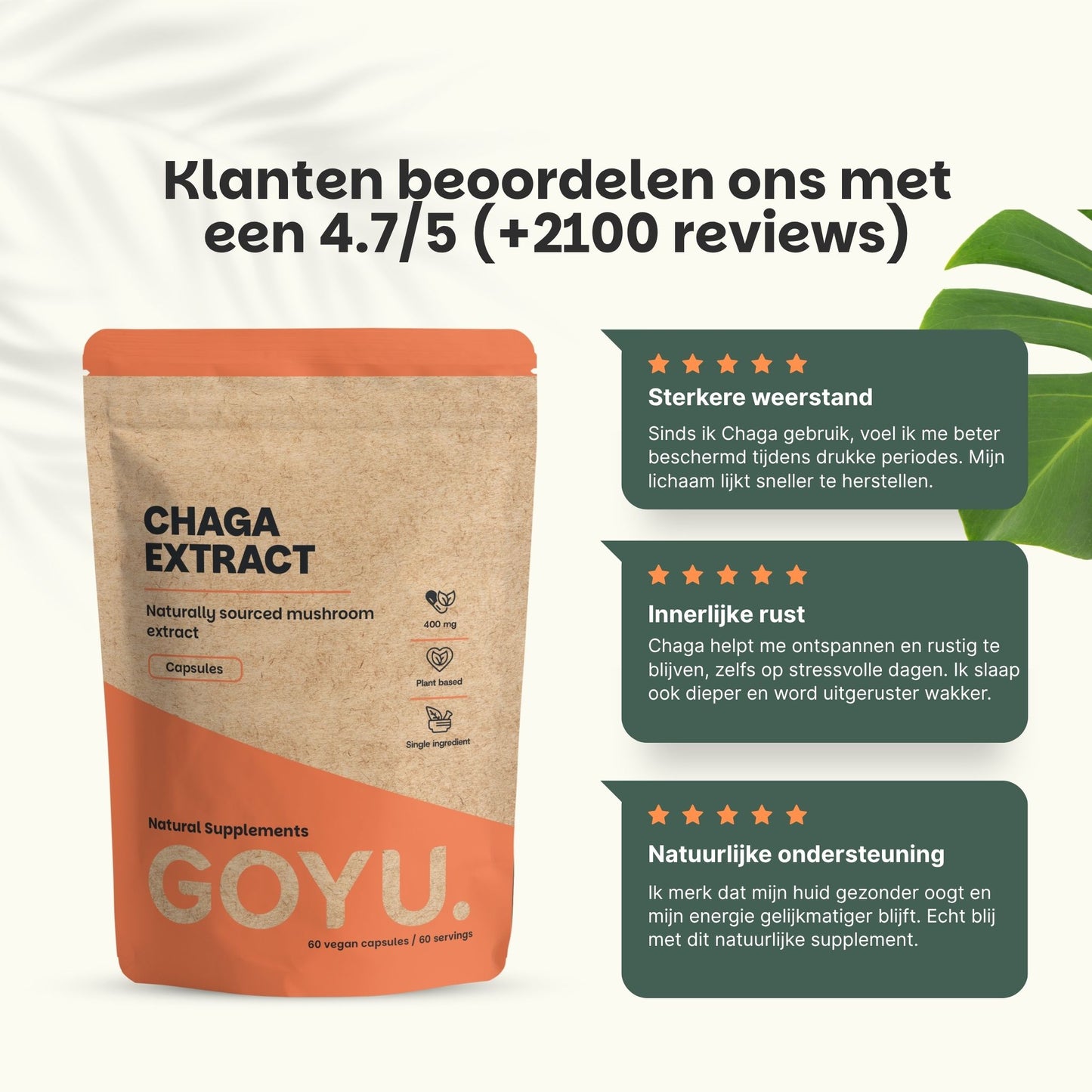 Chaga extract capsules goyu supplement superfood
