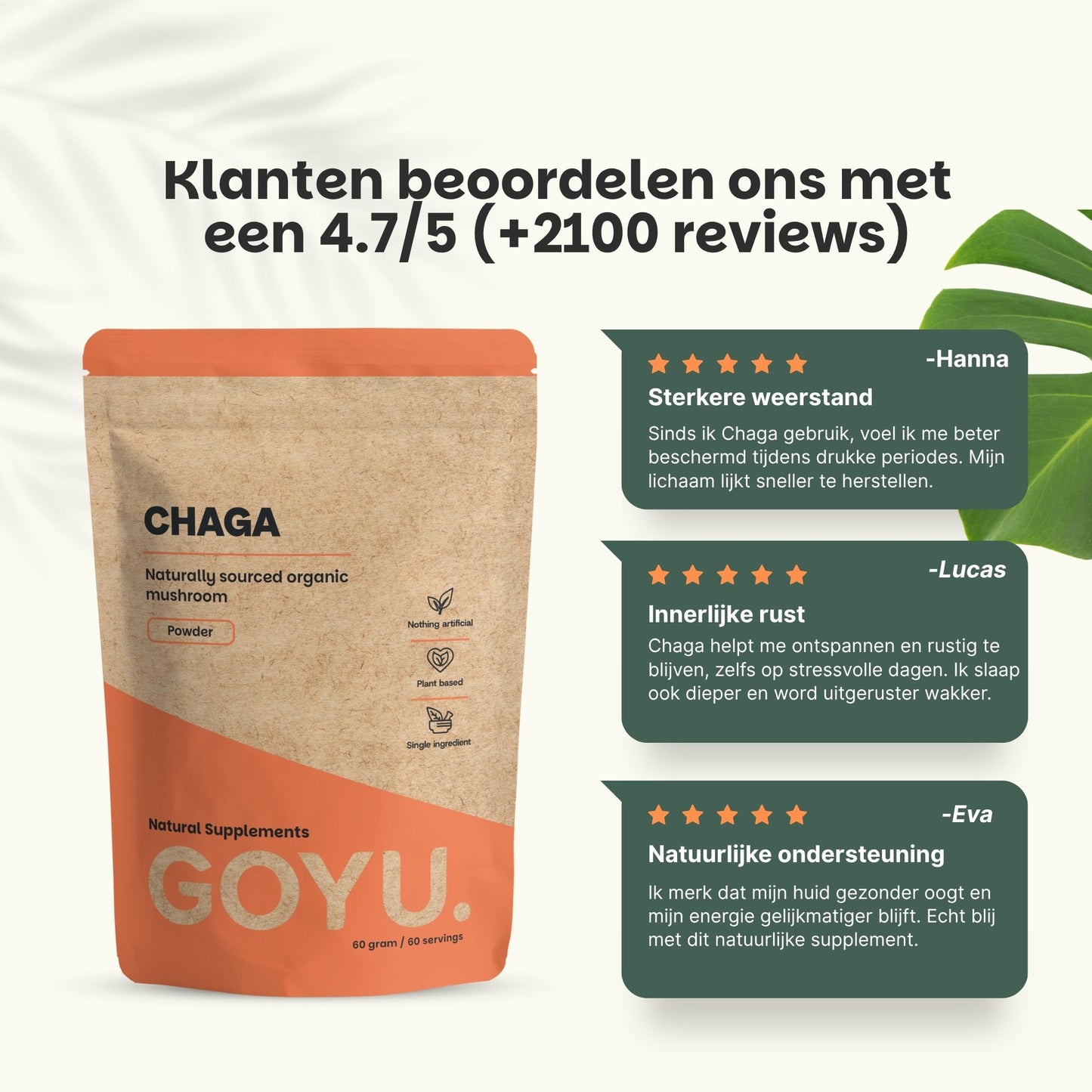 Biologische Chaga poeder goyu supplement superfood
