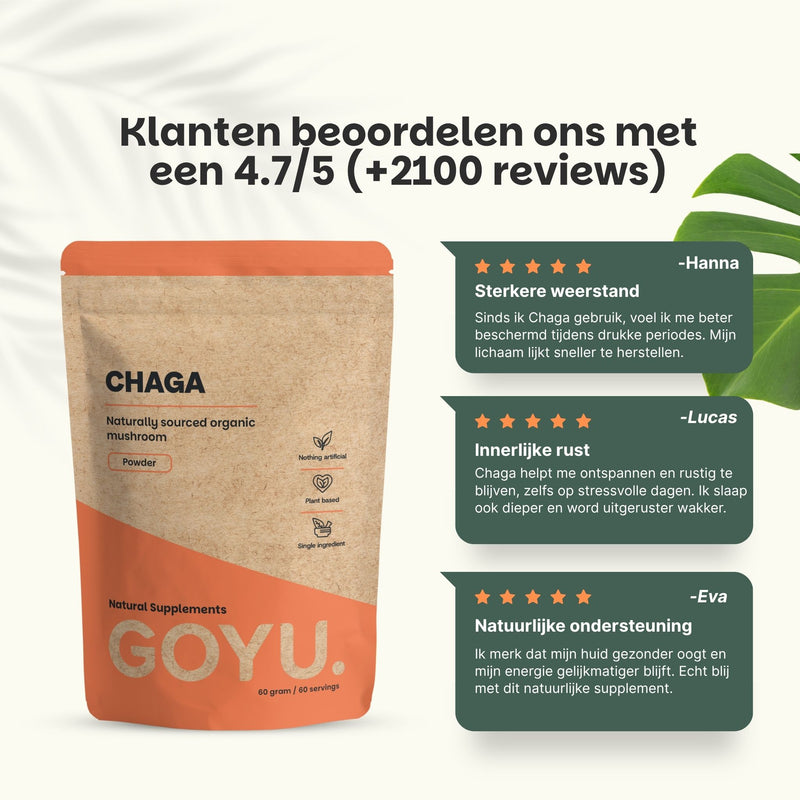 Biologische Chaga poeder goyu supplement superfood