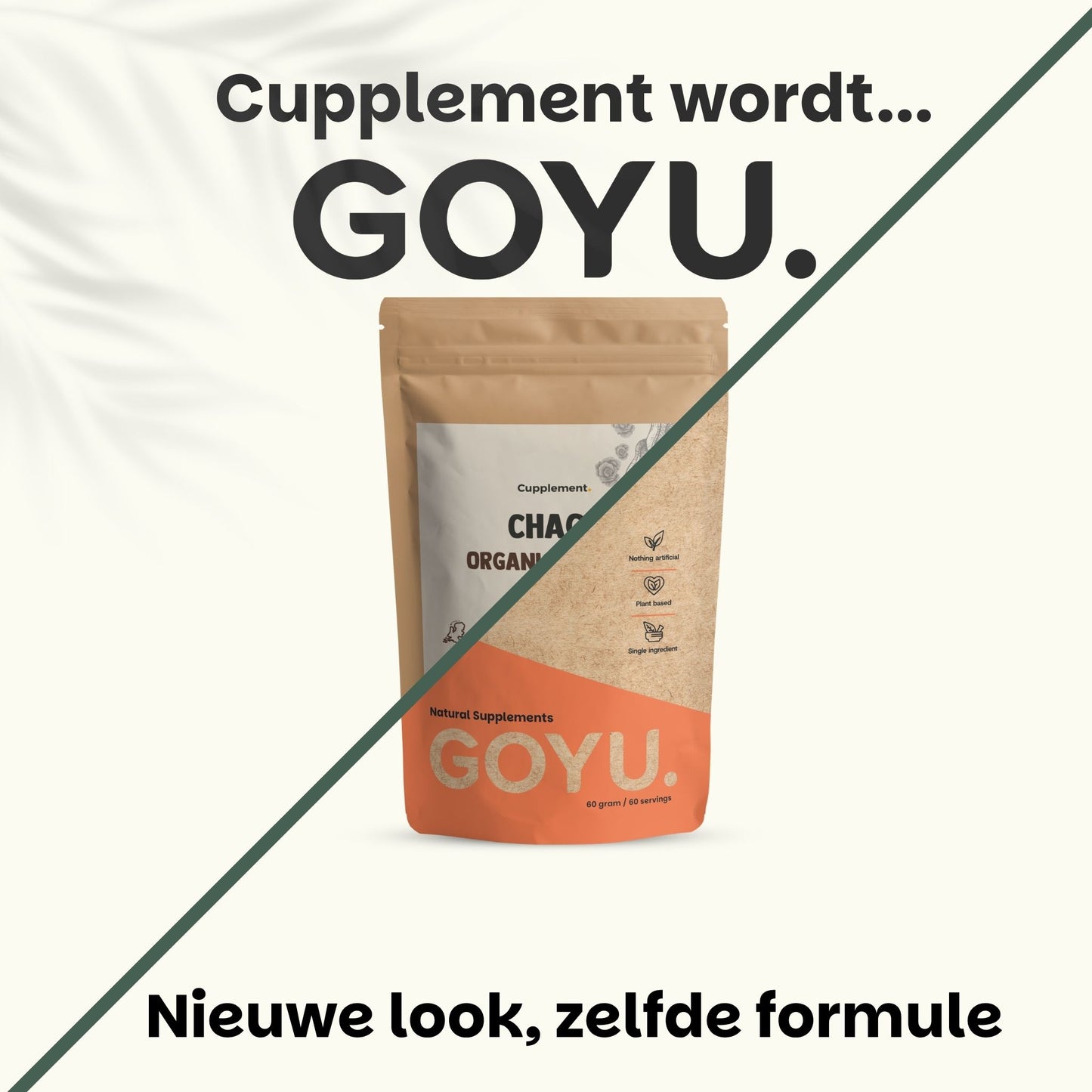 Biologische Chaga poeder goyu supplement superfood