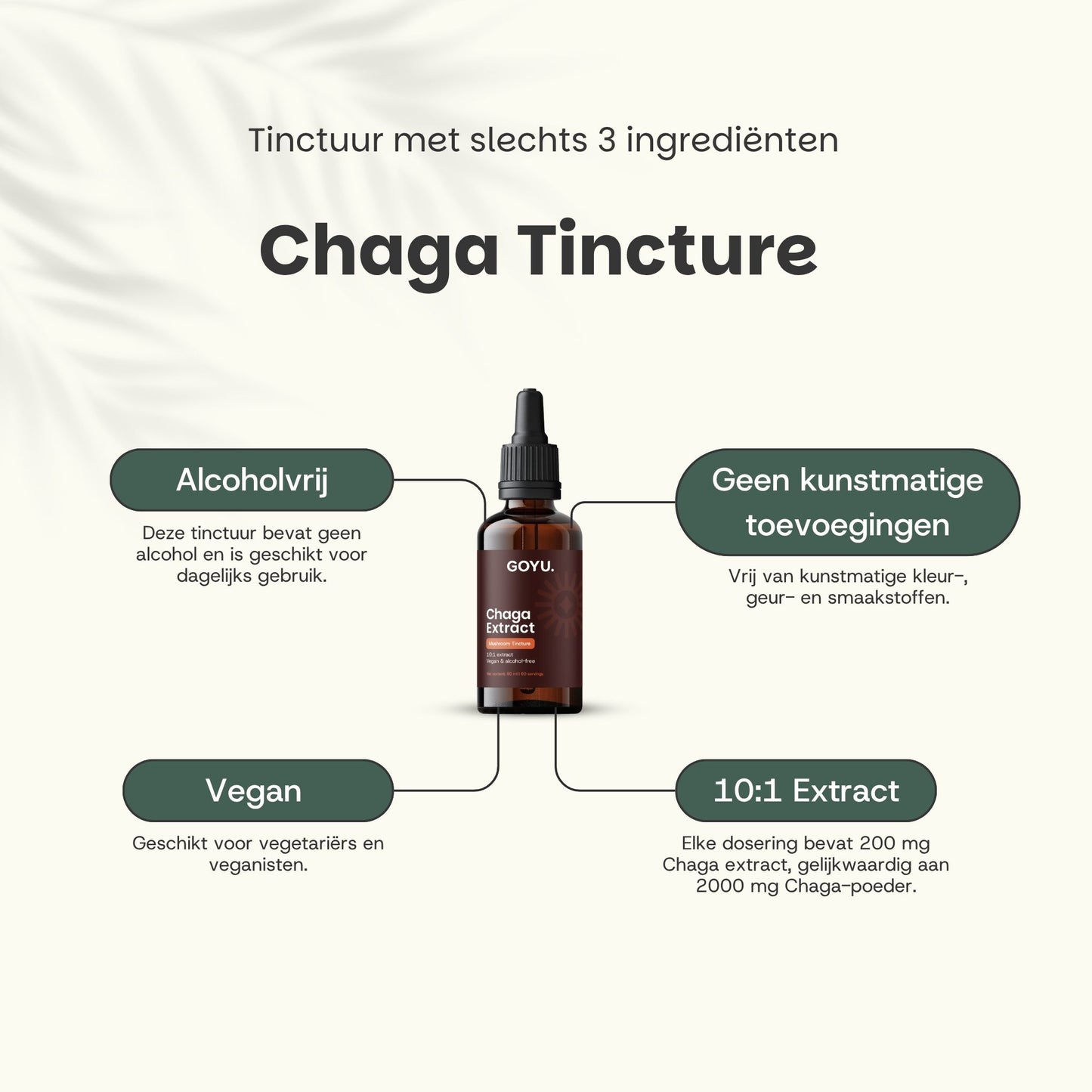 Teinture de Chaga
