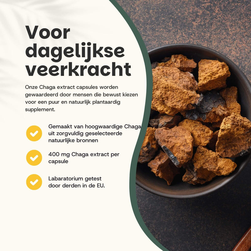Chaga extract capsules goyu supplement superfood