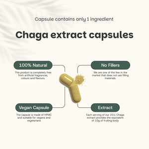 Chaga extract capsules goyu supplement superfood
