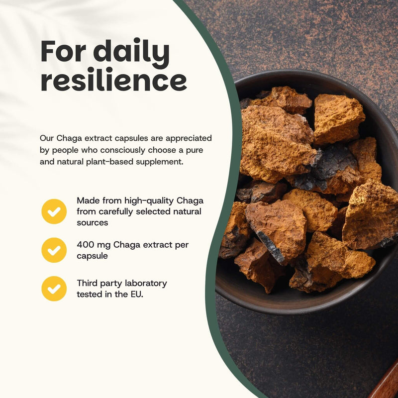 Chaga extract capsules goyu supplement superfood