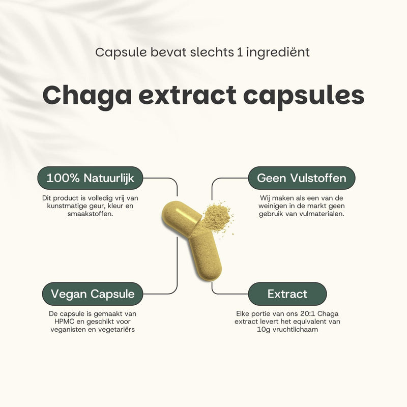 Chaga extract capsules goyu supplement superfood
