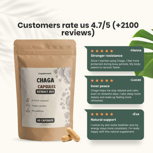 Chaga extract capsules goyu supplement superfood