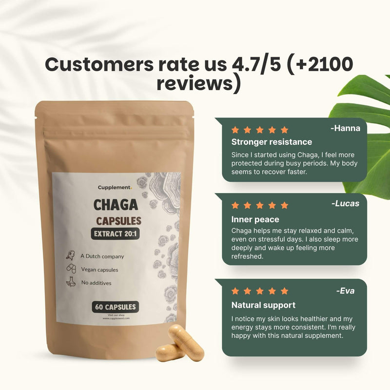 Chaga extract capsules goyu supplement superfood