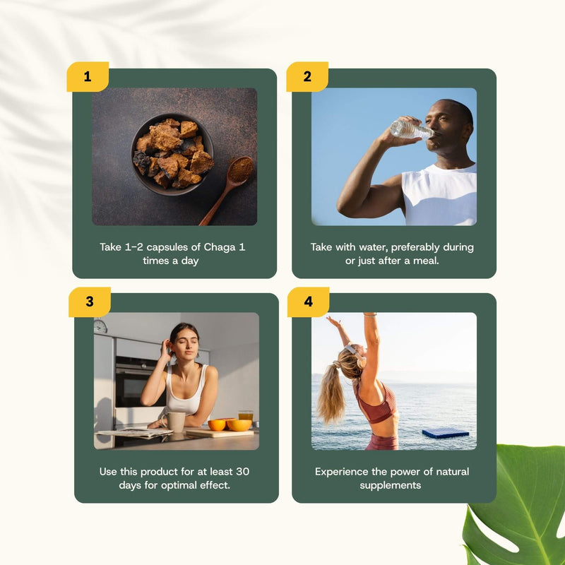 Chaga extract capsules goyu supplement superfood