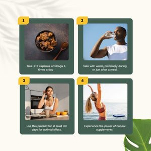 Chaga extract capsules goyu supplement superfood