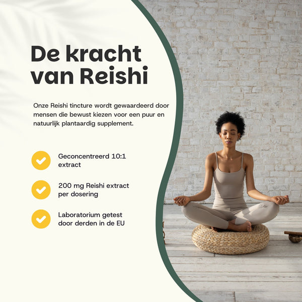 Teinture de Reishi
