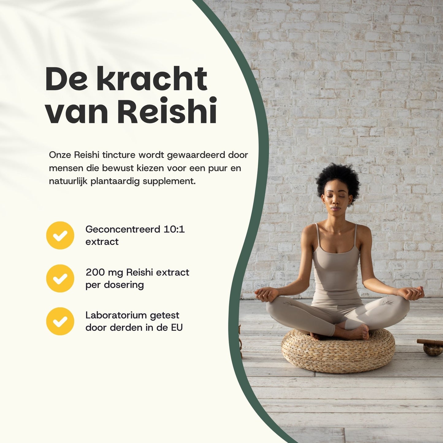 Teinture de Reishi