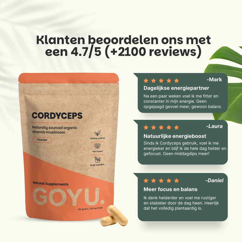 Cordyceps Capsules 500 mg Biologisch