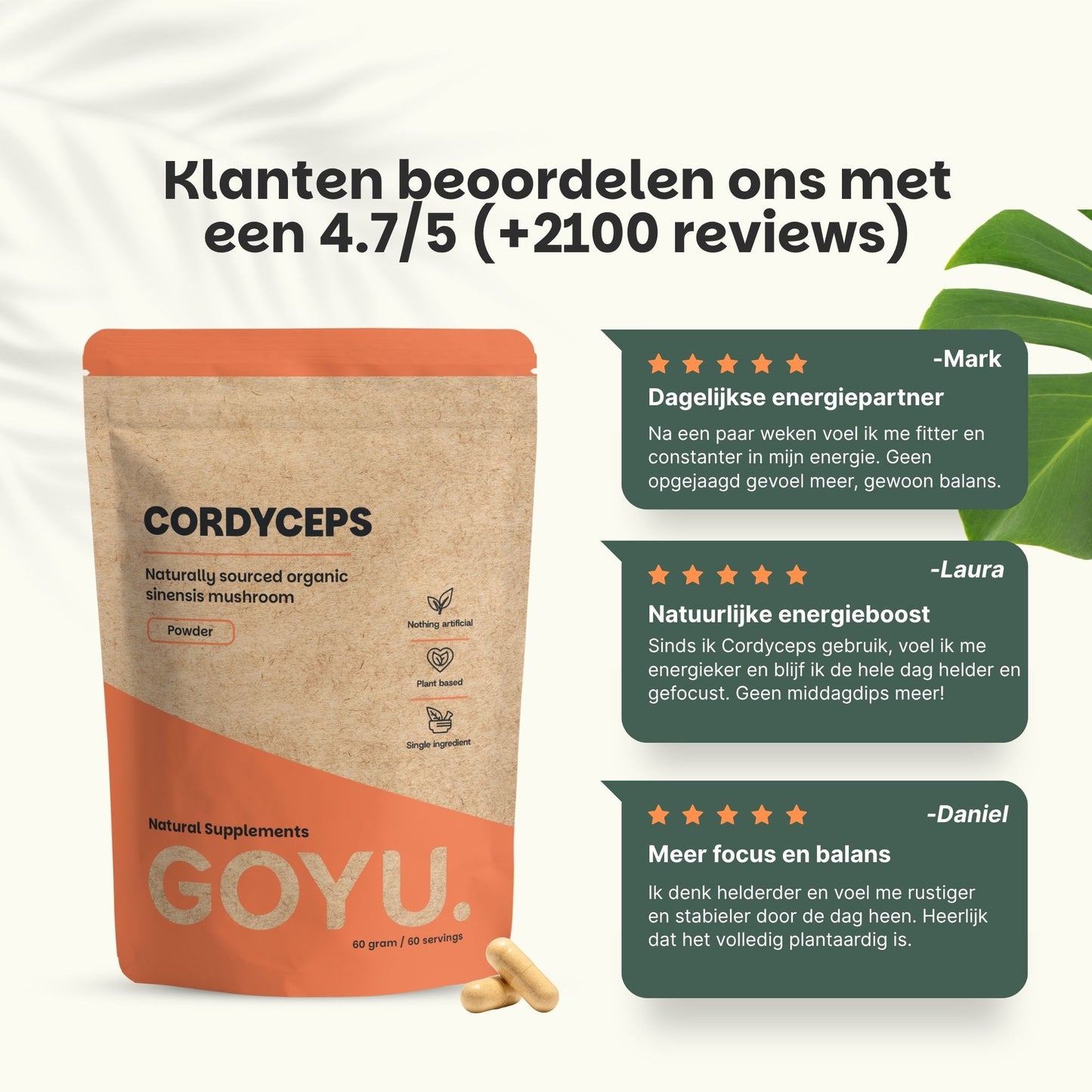 Biologische Cordyceps extract capsules goyu supplement superfood