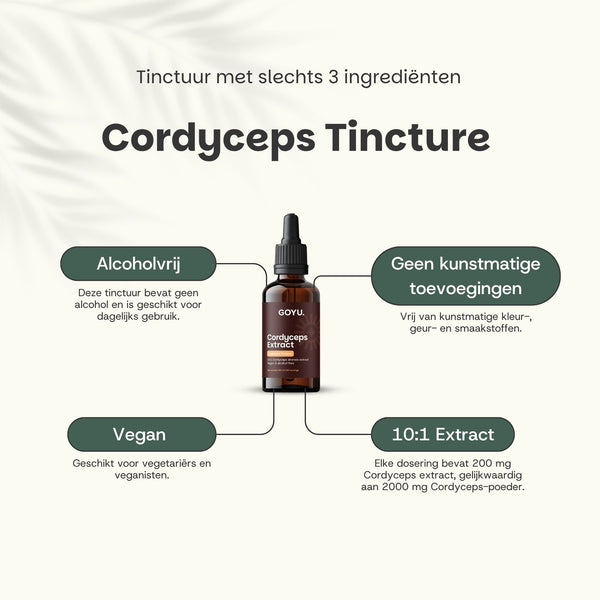 Teinture de Cordyceps