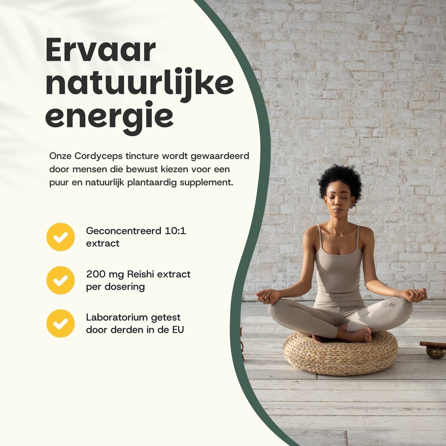 Teinture de Cordyceps