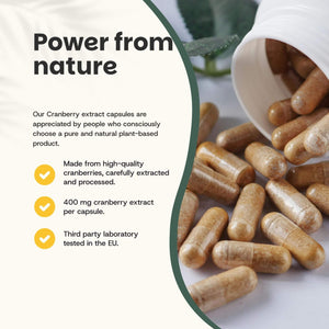 Cranberry extract capsules goyu supplement superfood