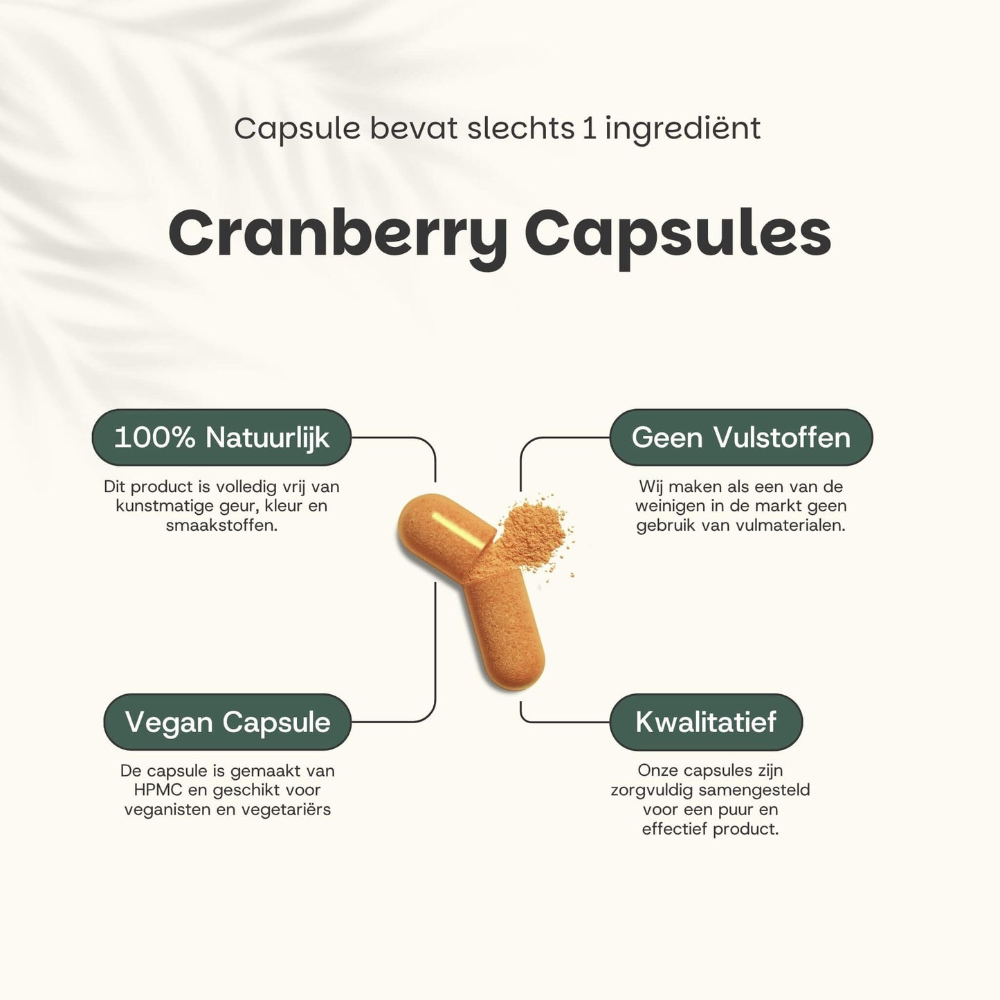 Cranberry extract capsules goyu supplement superfood
