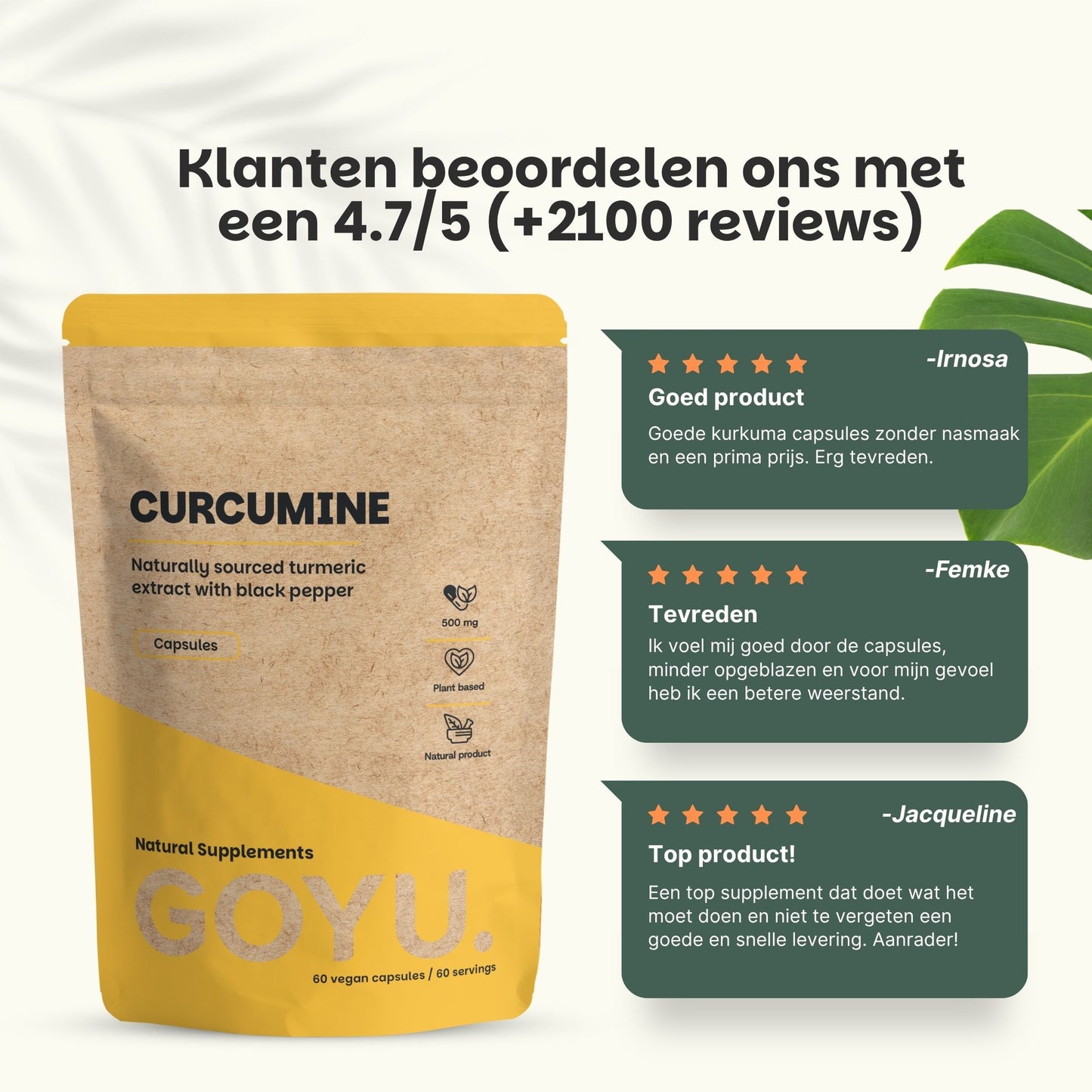 Kurkuma Curcumin extract goyu supplement superfood