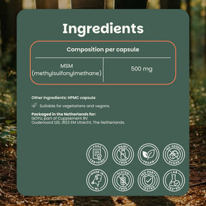 MSM capsules goyu superfood supplement
