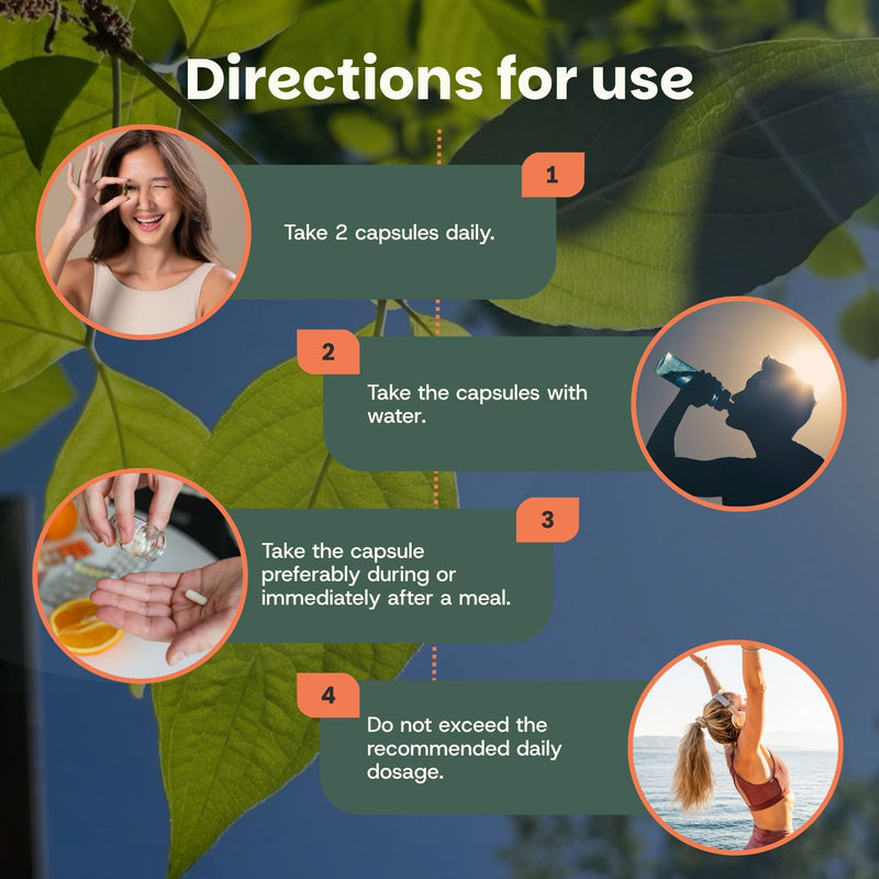 Bee pollen extract capsules goyu supplement superfood