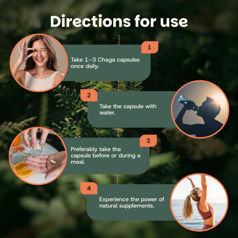 Organic Chaga capsules goyu supplement superfood