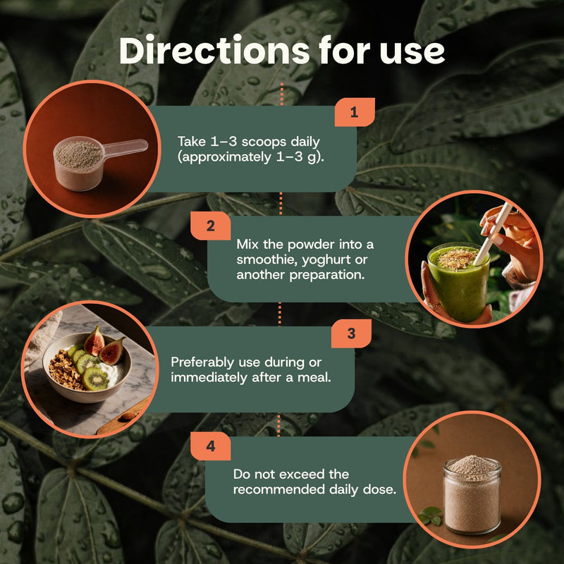 Organic Chaga powder goyu supplement superfood