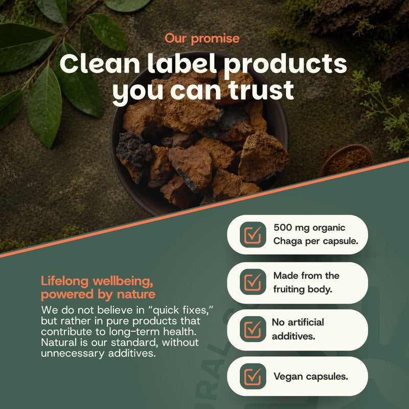 Organic Chaga capsules goyu supplement superfood