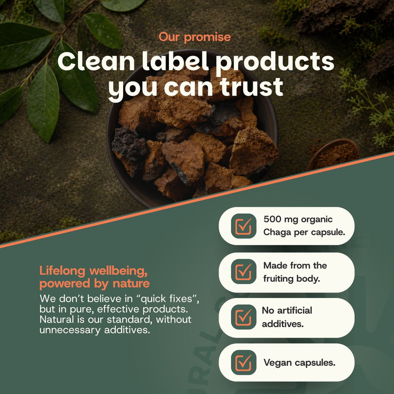 Organic Chaga capsules goyu supplement superfood