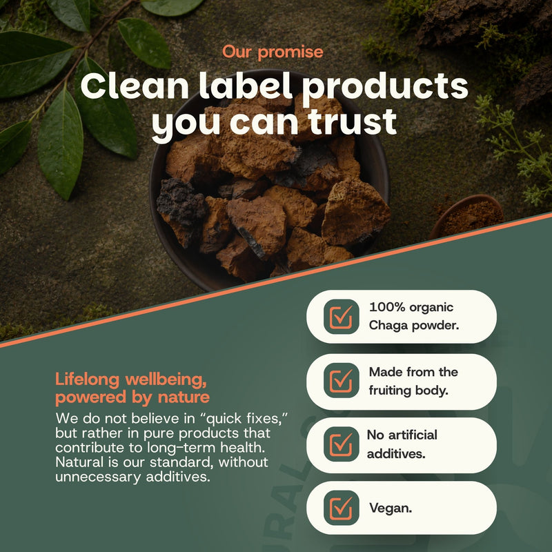 Organic Chaga powder goyu supplement superfood