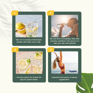 Electrolyte extract capsules goyu superfood supplement