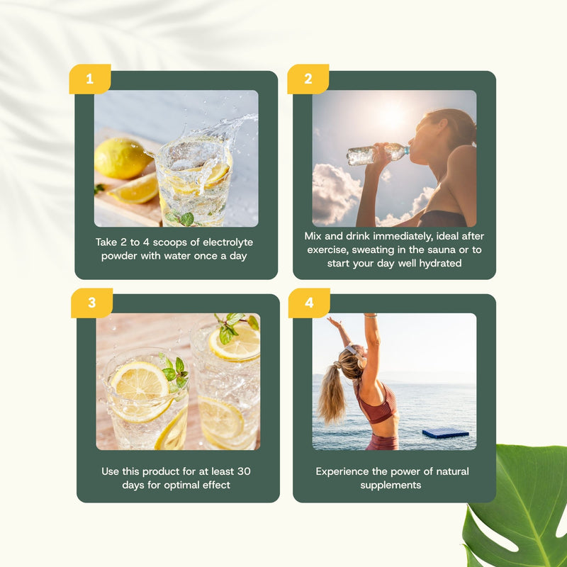 Electrolyte extract capsules goyu superfood supplement