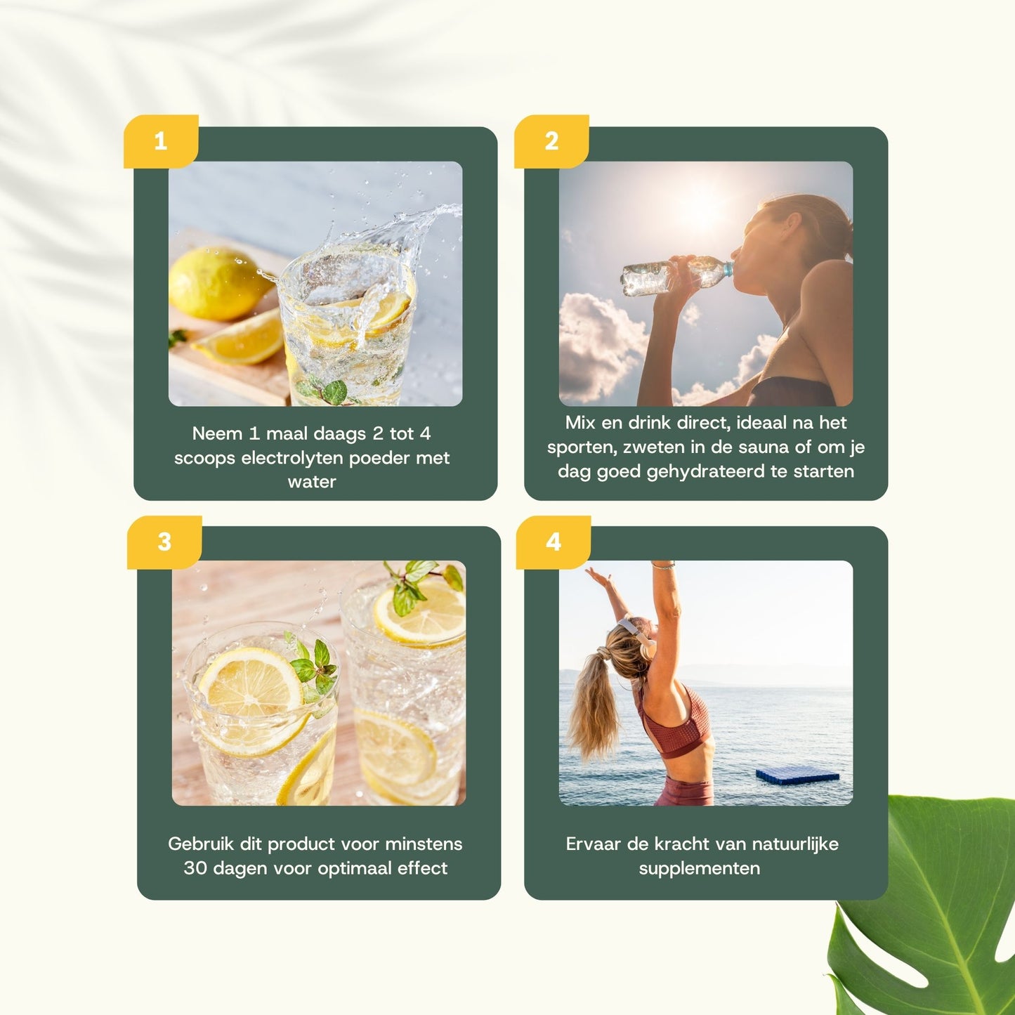 Elektrolyten extract capsules goyu superfood supplement