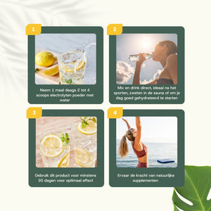 Elektrolyten extract capsules goyu superfood supplement